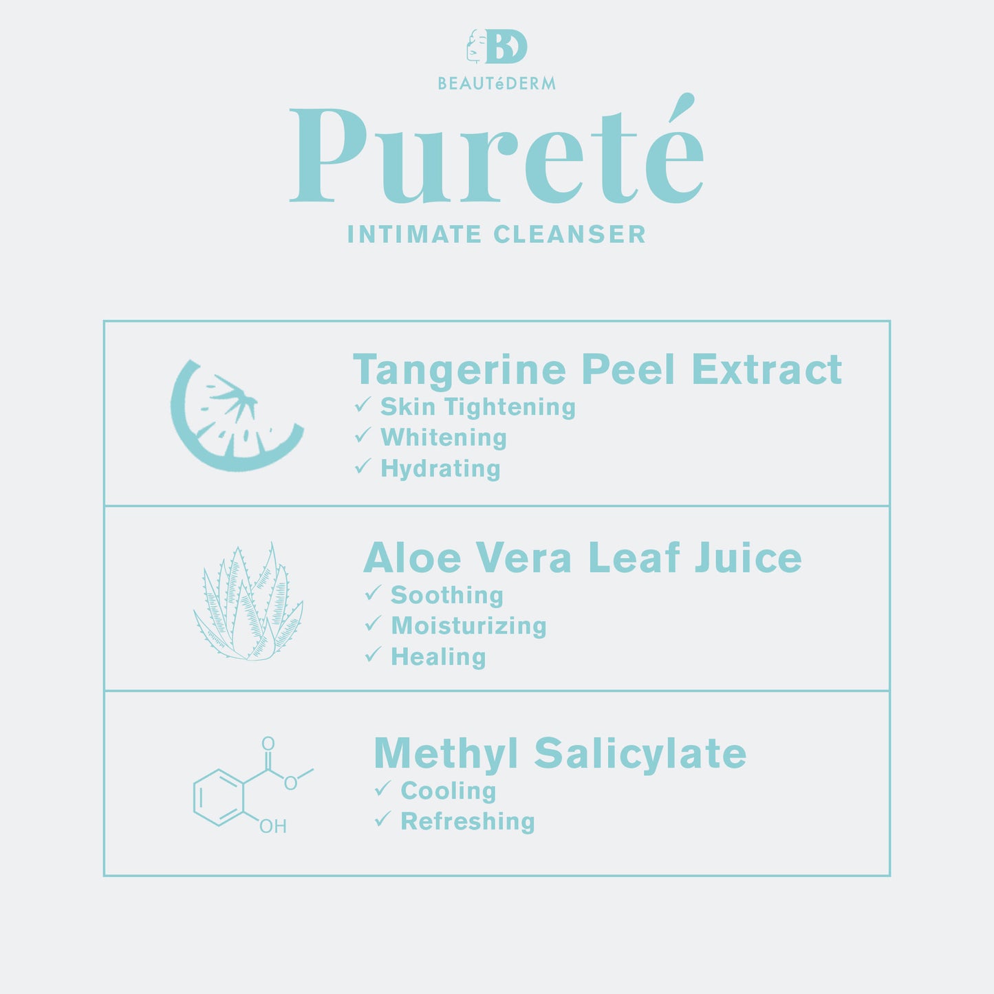 Purete Intimate Cleanser