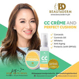 Perfecting Cushion Cushion
